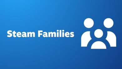 Steam Families